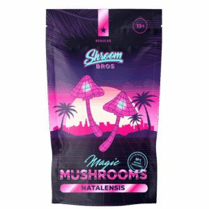 Natalensis Magic Mushroom