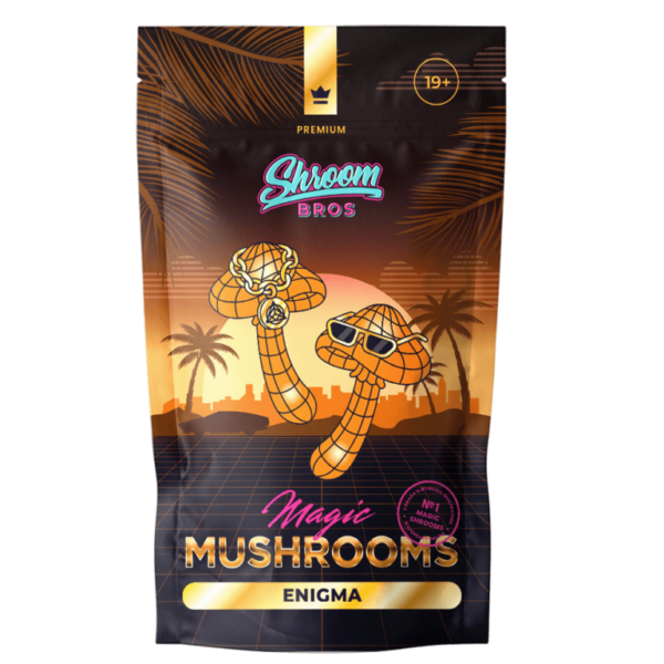 Enigma Magic Mushrooms